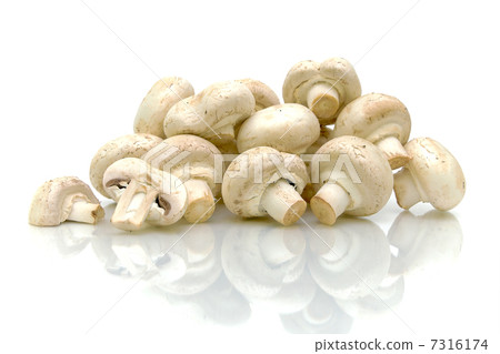 mushrooms close up on white background 7316174