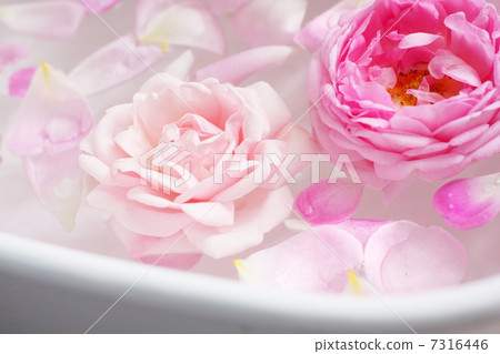 Bathtub with rose flower Bathtub with rose flower 7316446