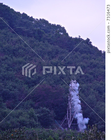 Dragon Festival (Ruin Shrine / Saitama Prefecture Chichibu City Shimoshita) 7316473