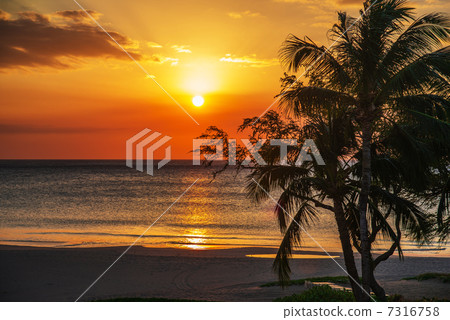日落海灘 7316758