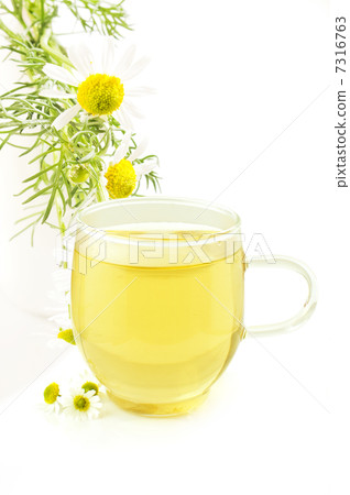 洋甘菊茶 洋甘菊茶 7316763