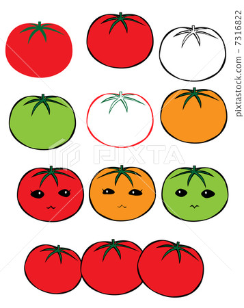 Summer Vegetable Tomato Summer Vegetable Tomato 7316822