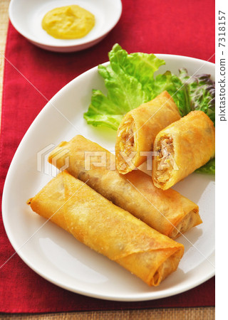 Spring roll  7318157