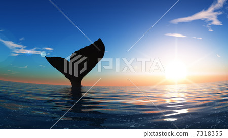 A whale 7318355