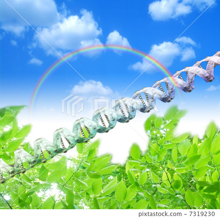 DNA / gene image 7319230