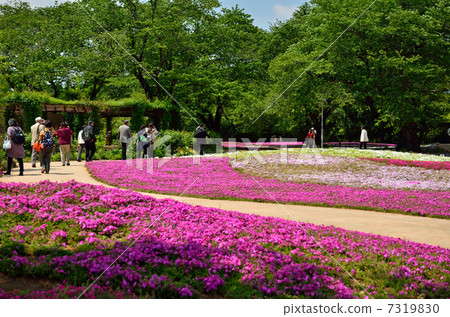 Tatebayashi步行·Treasure Garden Tatebayashi Tatebayashi步行·Treasure Garden Tatebayashi 7319830