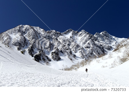 To the snowy lavender 7320733