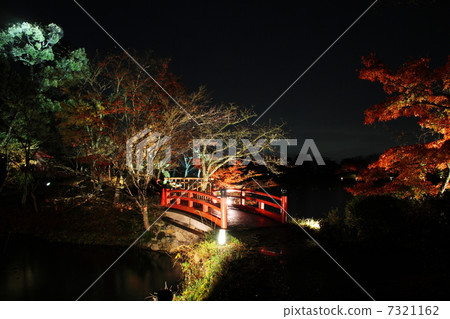 Daikakuji Bridge Autumn Leaves Light Up Daikakuji Bridge Autumn Leaves Light Up 7321162