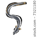 鰻魚 7321180