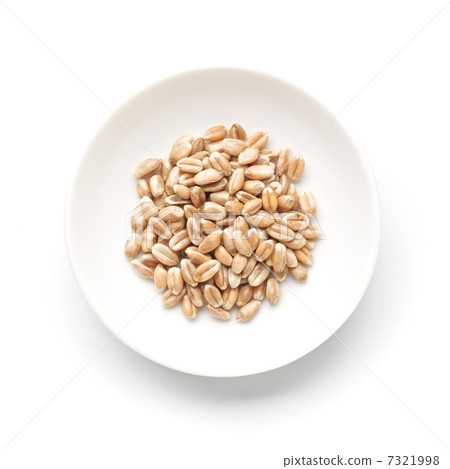 國內有機小麥大麥 國內有機小麥大麥 7321998