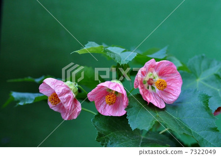 Abtilon Abtilon 7322049