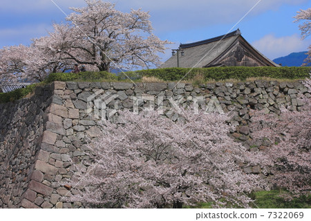 Sasayama城堡廢墟櫻花 7322069