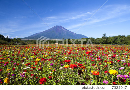 夏季富士 7323047