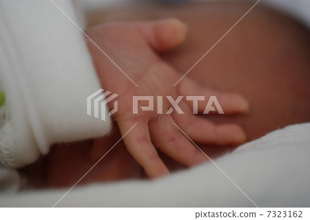 一個嬰兒 7323162