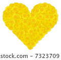 心臟蒲公英 7323709