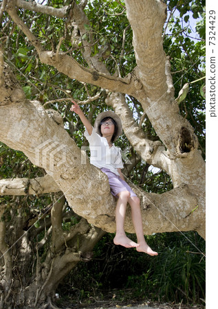爬樹 7324429
