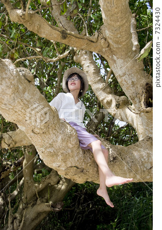 Tree climbing in southern country Tree climbing in southern country 7324430