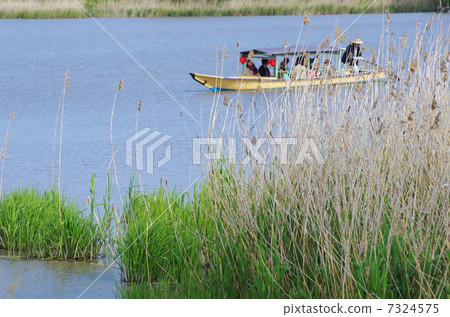 參觀吉原的水廠 7324575