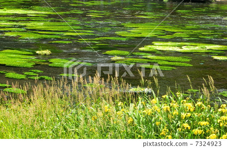 Kakita River 7324923