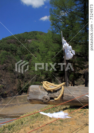 Pillar Trees Fallen Slope 7324973