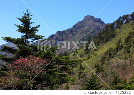 Ishizuruyama from the climbing mountain road Ishizuruyama from the climbing mountain road 7325222