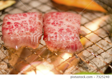 Luxury Calvi 7325240