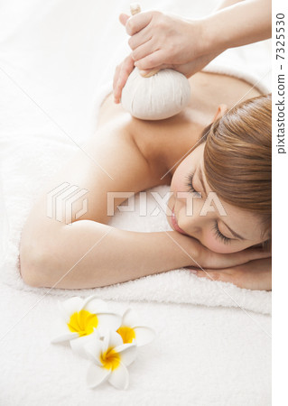 Herb ball Herb ball 7325530