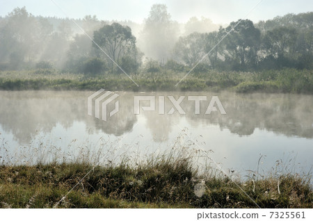 Morning on the river Morning on the river 7325561