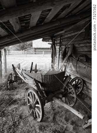 Cart 7325562