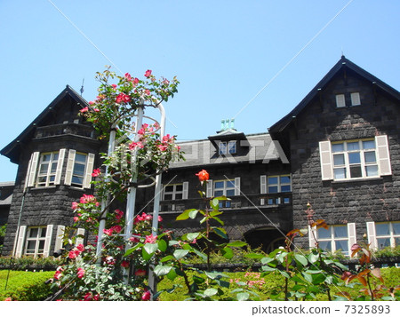 Roses and Western-style houses 7325893