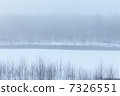 雪景 7326551
