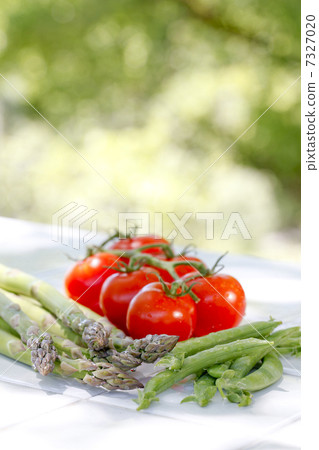 蔬菜 蔬菜 7327020