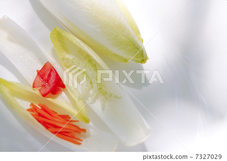Chicory 7327029