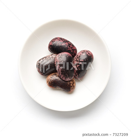 Purple flower bean 7327209