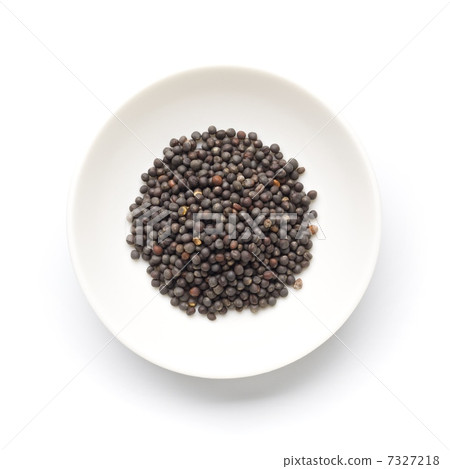 菜子 菜子 7327218