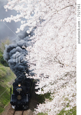 SL Hitoyoshi 7327361