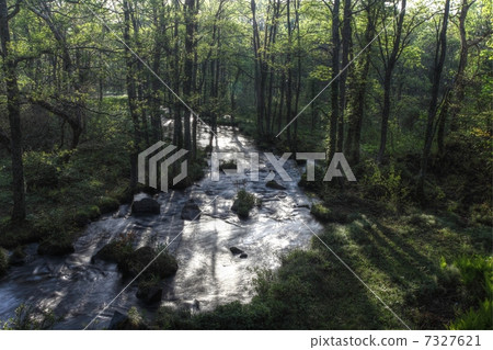 Nagasegawa Nagasegawa 7327621