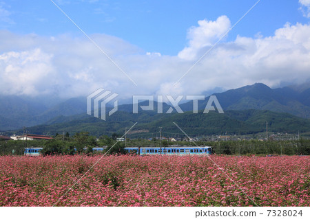 Red soba field and Iida line 7328024