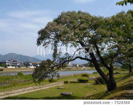 風景 7328368
