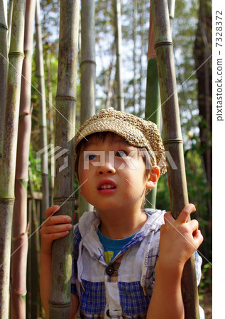 Bamboo forest and child Bamboo forest and child 7328372