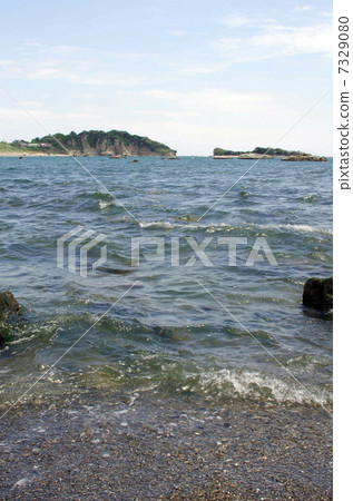 從一個顏色的岸邊看到的長尾瞄準器 從一個顏色的岸邊看到的長尾瞄準器 7329080