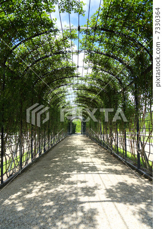 Roses arch of Schönbrunn Palace 7330364