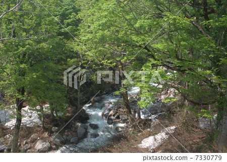 Azawa of Uonuma-shi Azawa of Uonuma-shi 7330779