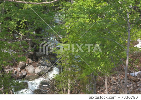 Azawa of Uonuma-shi Azawa of Uonuma-shi 7330780