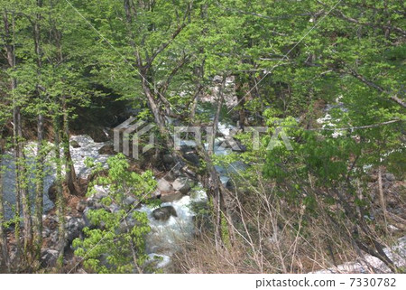 Azawa of Uonuma-shi 7330782