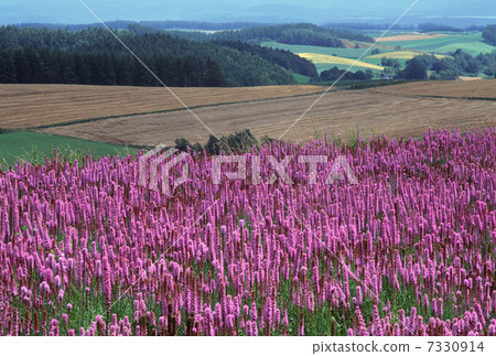 現實主義山 7330914