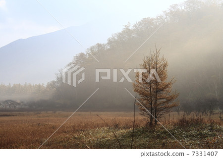 Fantasy Odashiro 7331407