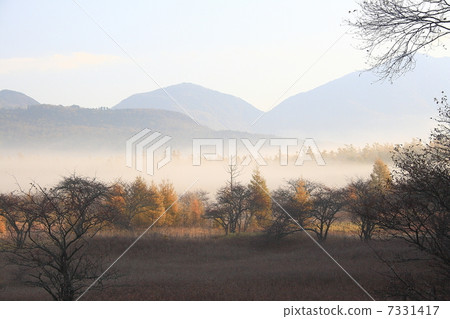 Odashiro of the morning sun 7331417