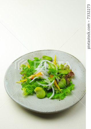 蠶豆蔬菜沙拉 7332273