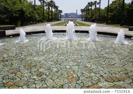 5月熱帶植物椰子樹系列05 5月熱帶植物椰子樹系列05 7332918